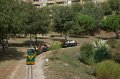 DSC_0936_1