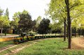 IMG_3931